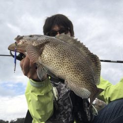 ライトショアジギングで楽しむ！